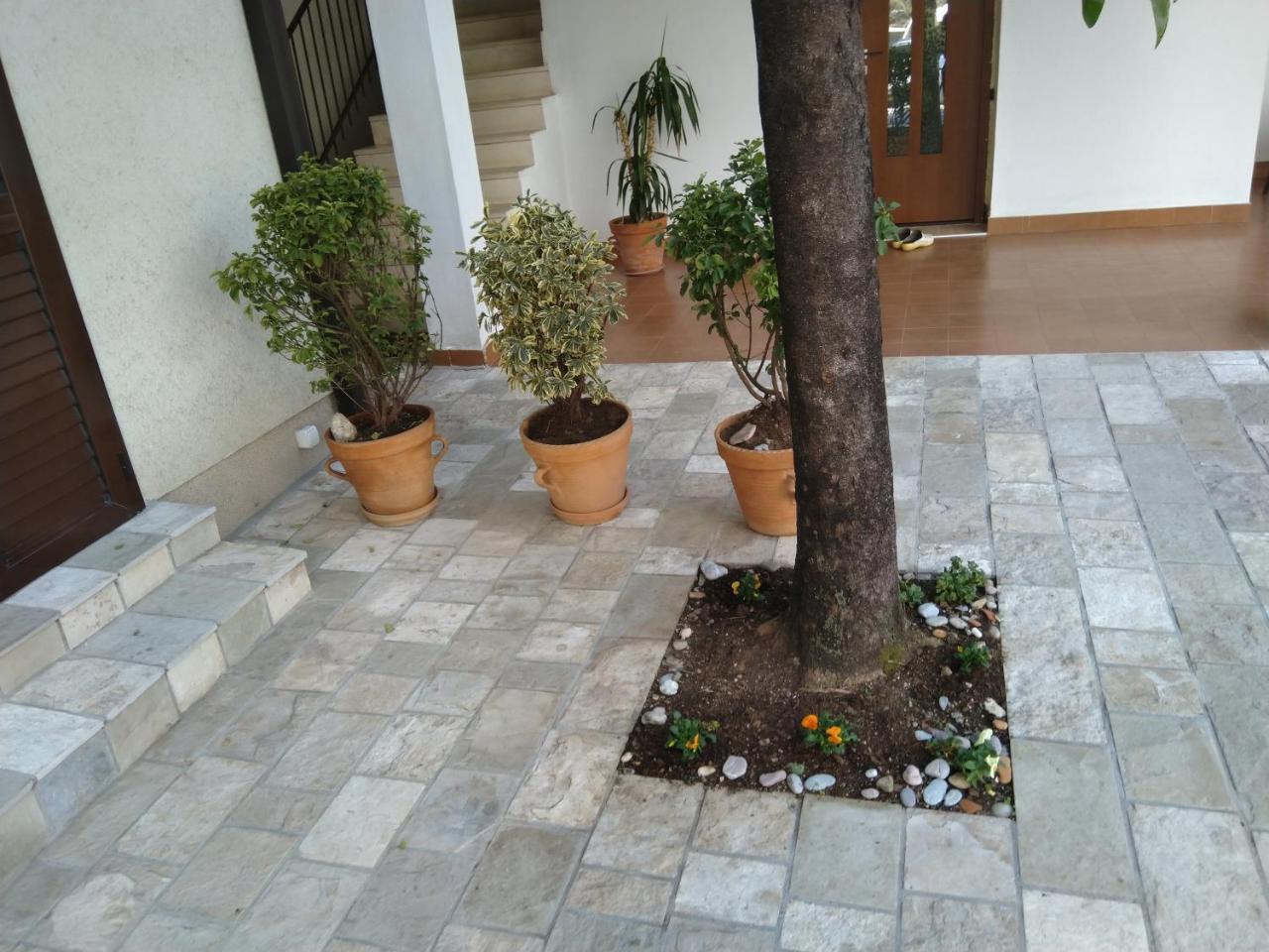 Studio Apartments 6 Palmi ブドヴァ エクステリア 写真